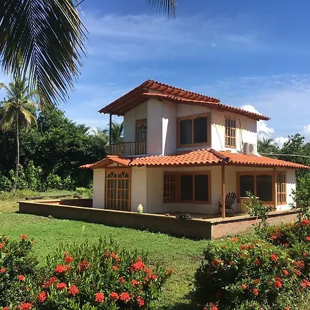 El Palmar Azul *